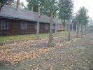 Auschwitz_2008_12.jpg
